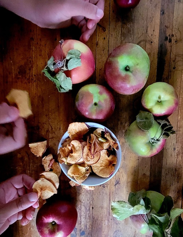 Air Fryer Apple Chips Recipe