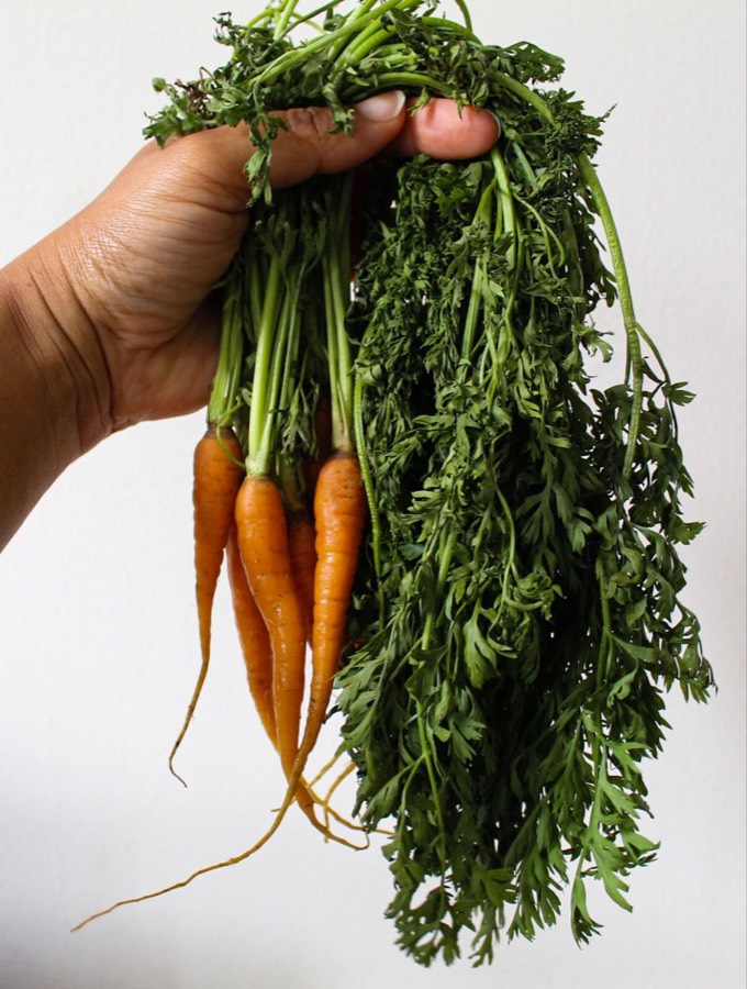 Carrot Top Pesto