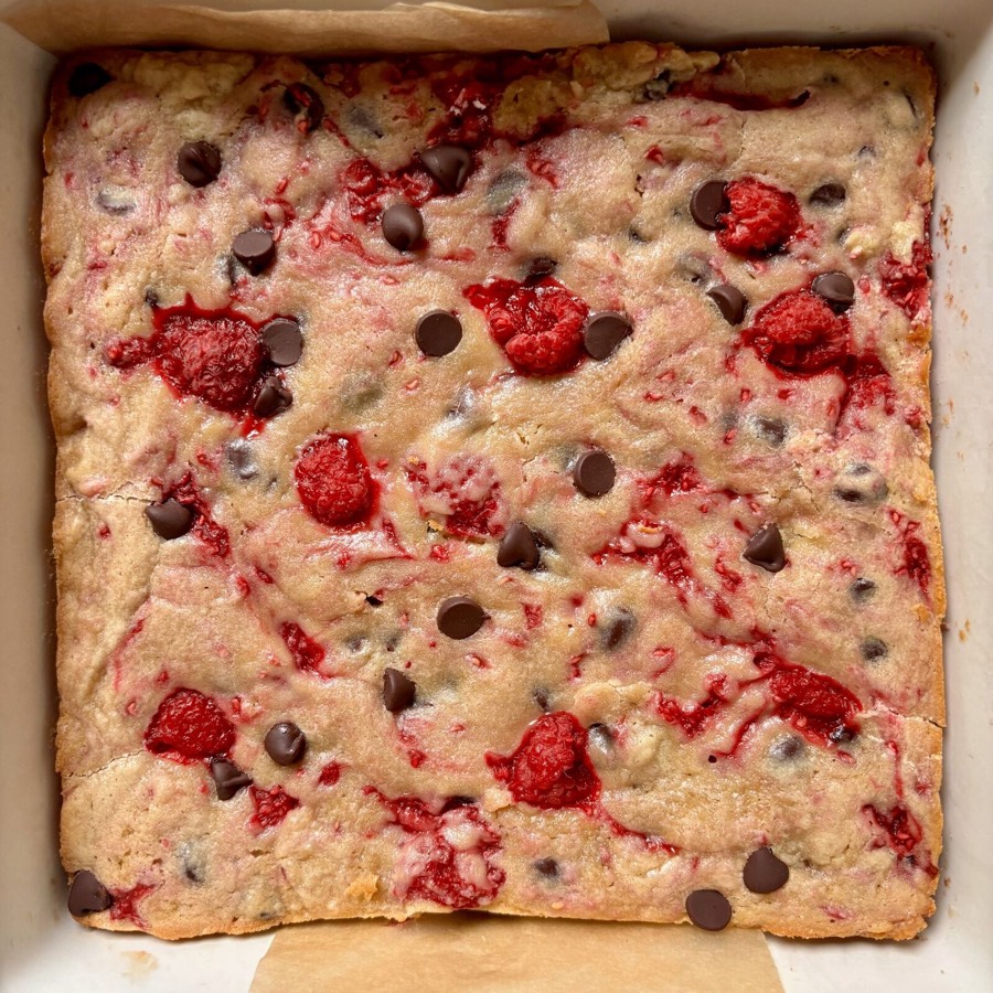 Fudgy Dark Chocolate Raspberry Blondies