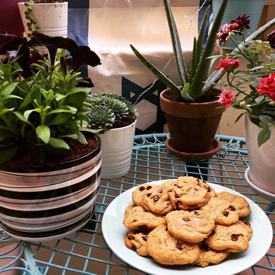 The Only Chocolate Chip Cookie Recipe You'll Ever Need