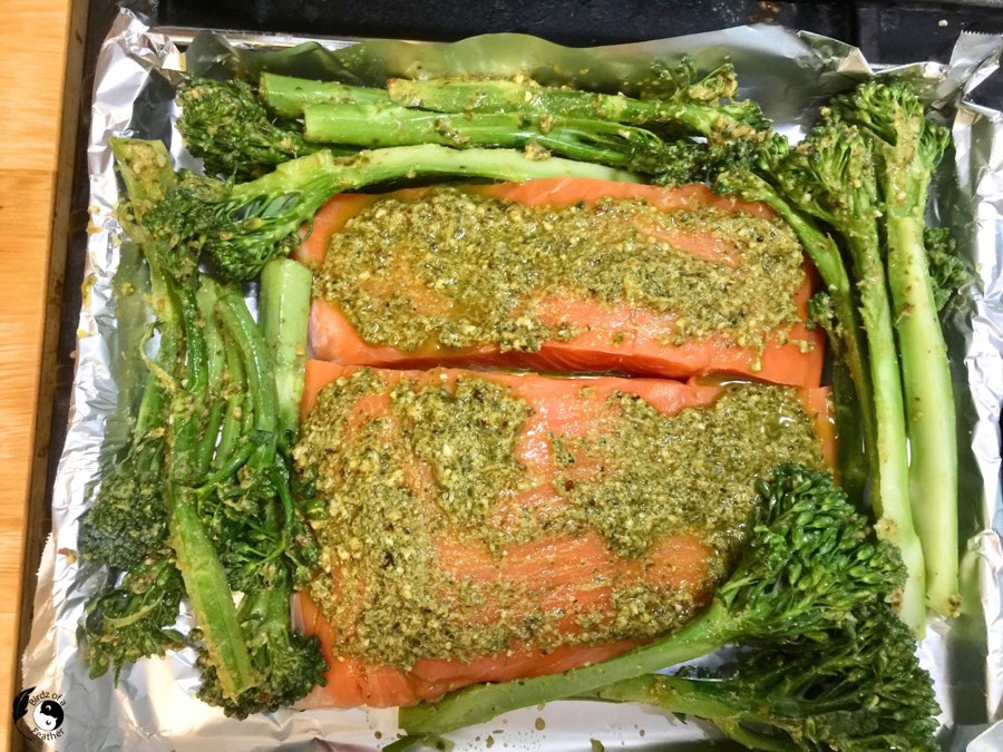 Toaster Oven Salmon